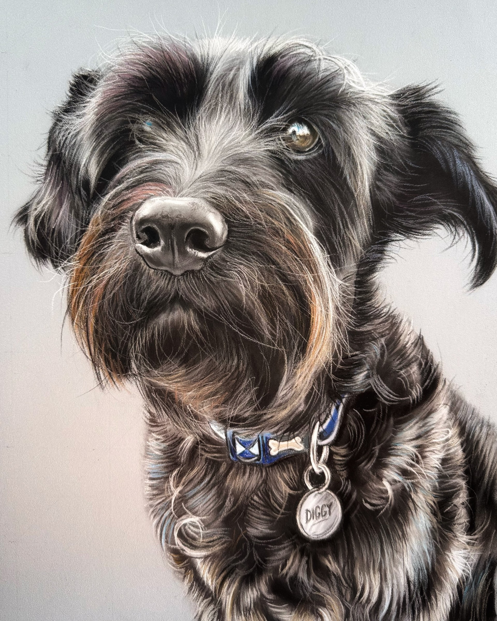 Visitors Vote winner - Andy Watkiss