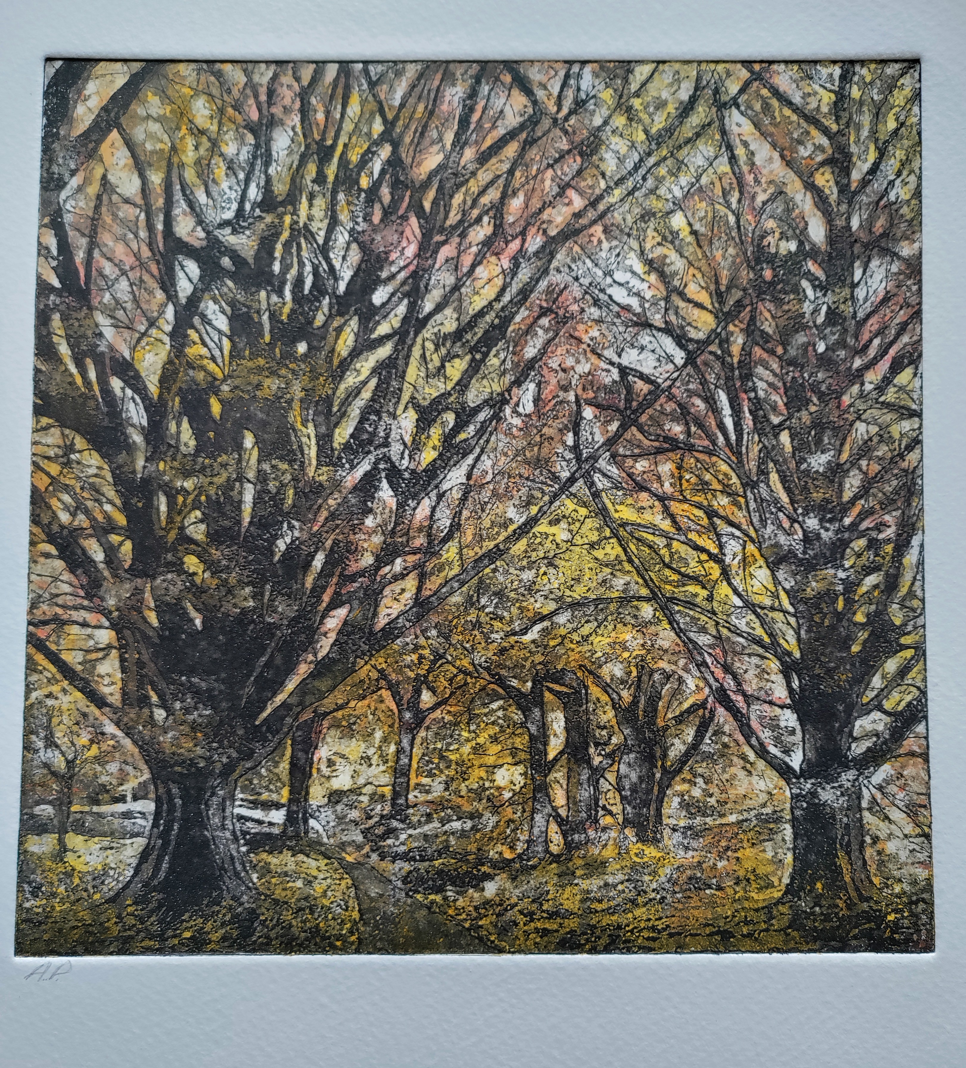 Over 18s highly commended - Sara Christmas